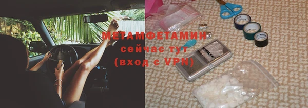 прущие грибы Армянск