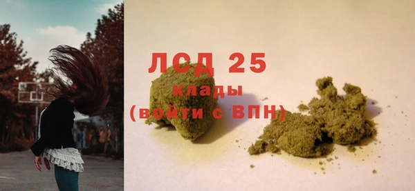 прущие грибы Армянск