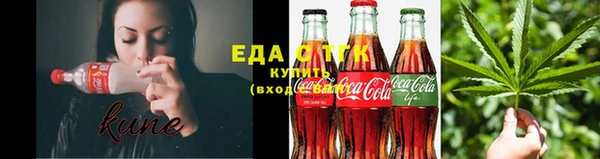 гашик Осинники