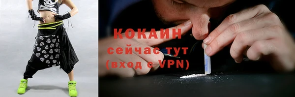 прущие грибы Армянск