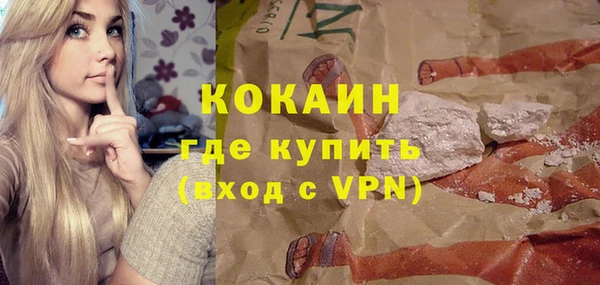 прущие грибы Армянск