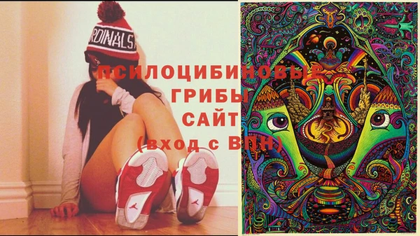 прущие грибы Армянск