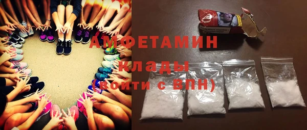 прущие грибы Армянск