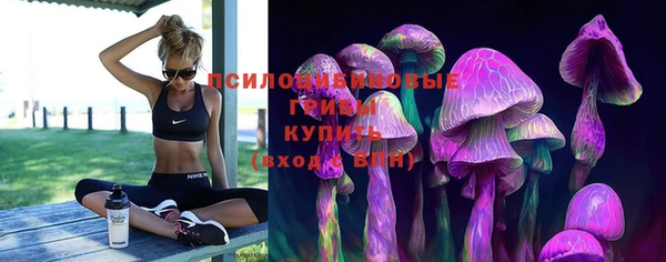 spice Аркадак